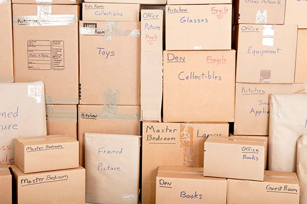 The Wonderful World of Boxes: Finding Boxes