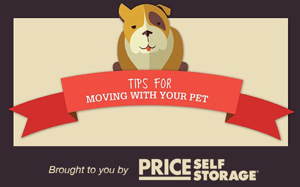 INFOGRAPHIC: Tips for Moving With Pets