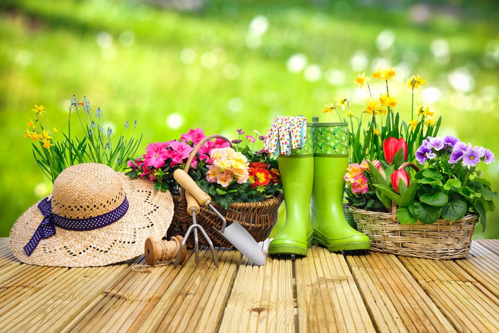 11 DIY Gardening Tips for All Seasons | Price Self Storage